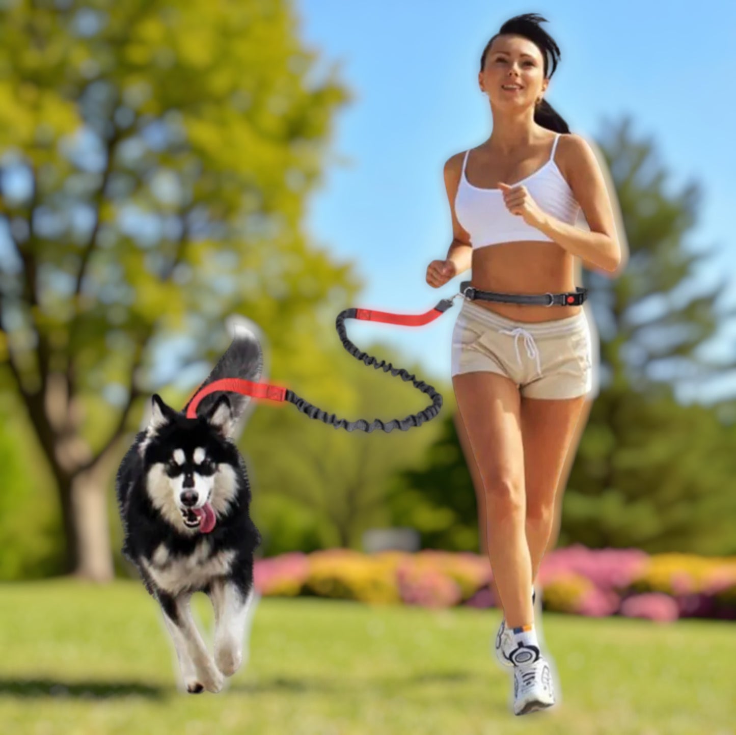 Ceinture traction et laisse running PetCutie™
